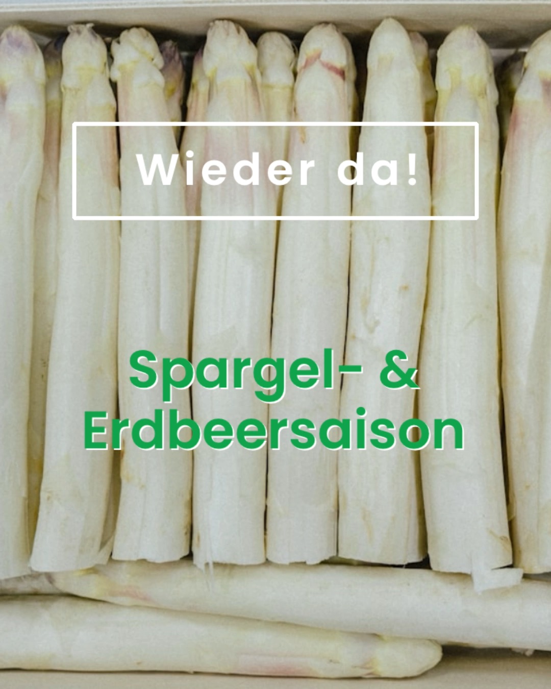 spargelzeit.jpg
